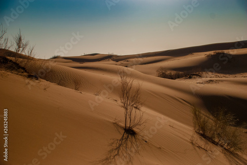 A shot of endless desert no people no footprint under blue sky