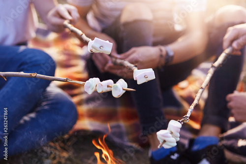 Cropped shot of friends roasting sweet marshmallows on bonfire, faceless picture of group of people spending spare time together in sunny summer day, sitting on ground. Free time and activity concept.