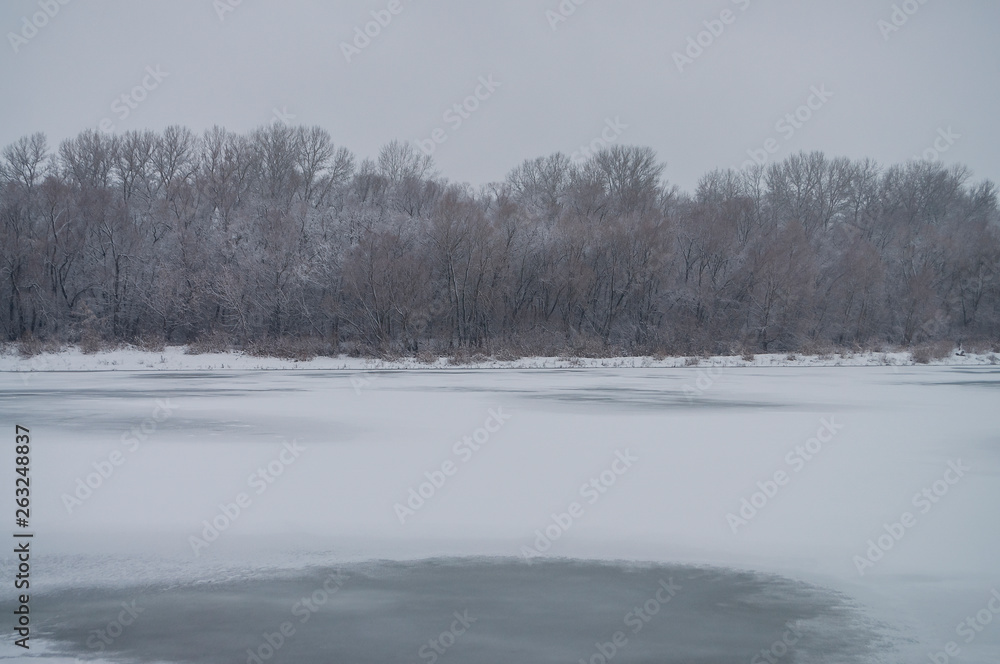 Winter day. River frozen - covered with ice and naked trees covered with white snow on there branches. Walking on nature Winter day. River frozen - covered with ice and naked trees covered with white snow on there branches. Walking on nature