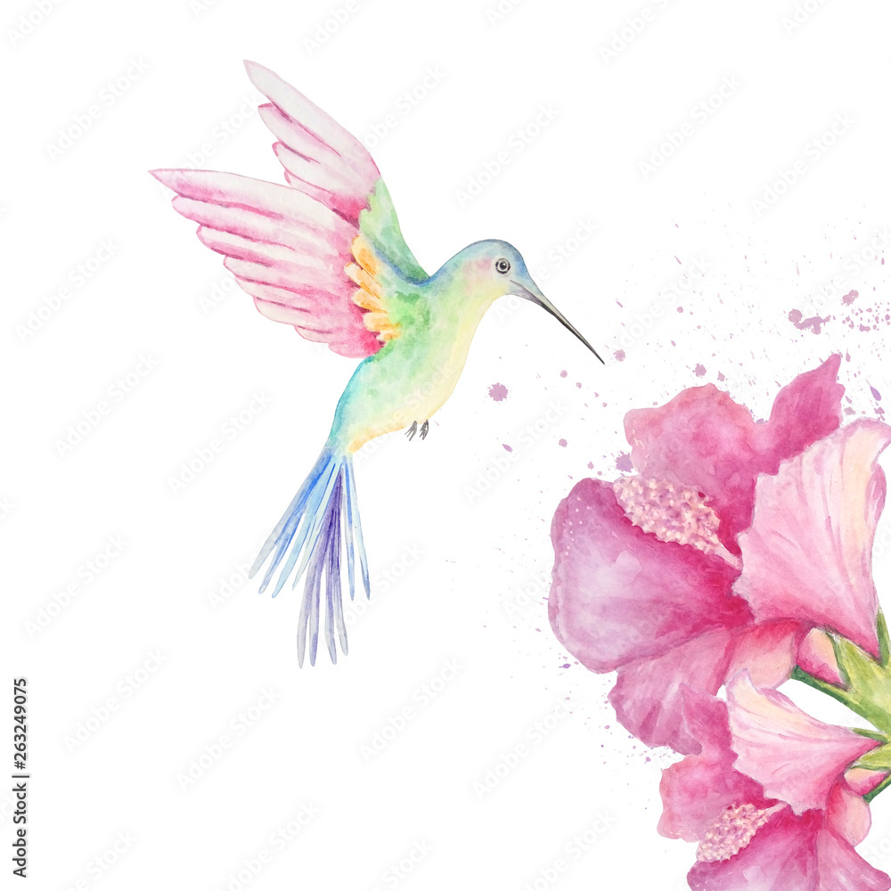 Obraz premium watercolor hummingbird with flowers and splashes