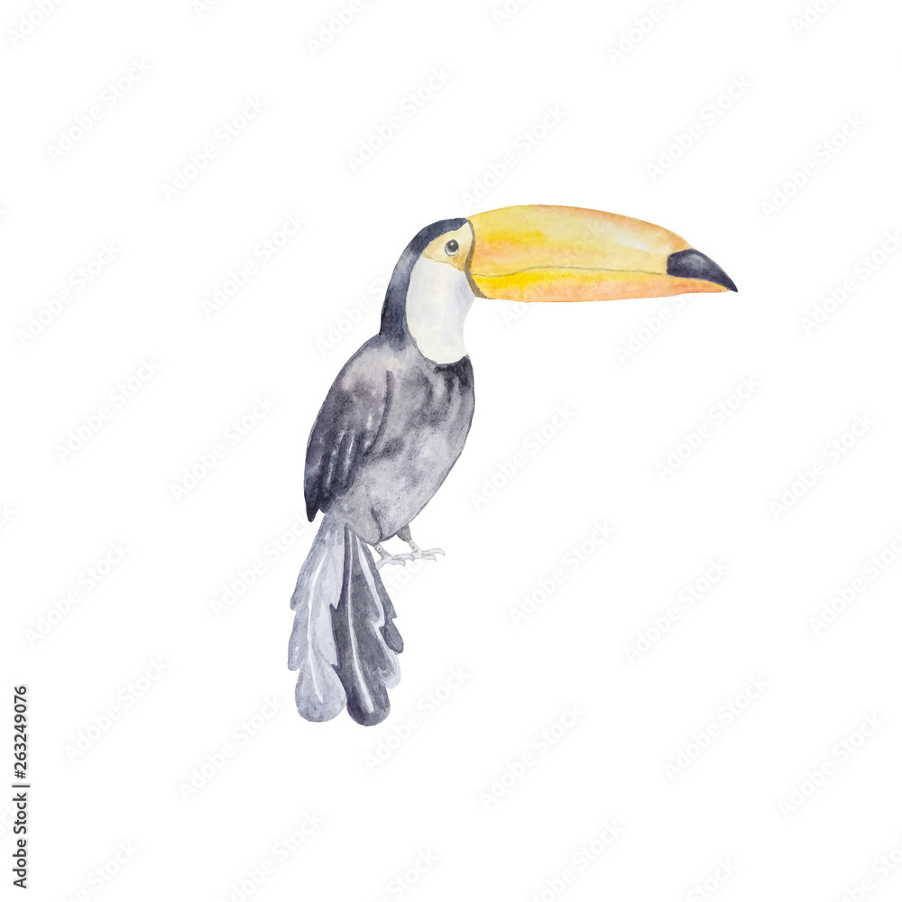 Fototapeta premium watercolor toucan
