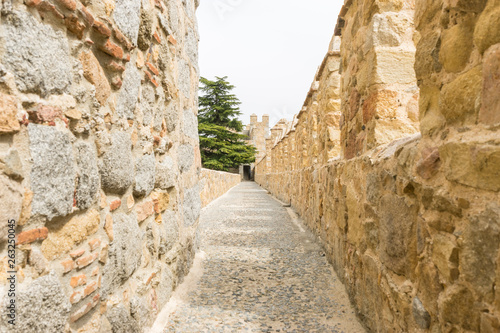 Walls of the city of Avila in Castilla y Le  n  Spain. Fortified medieval city