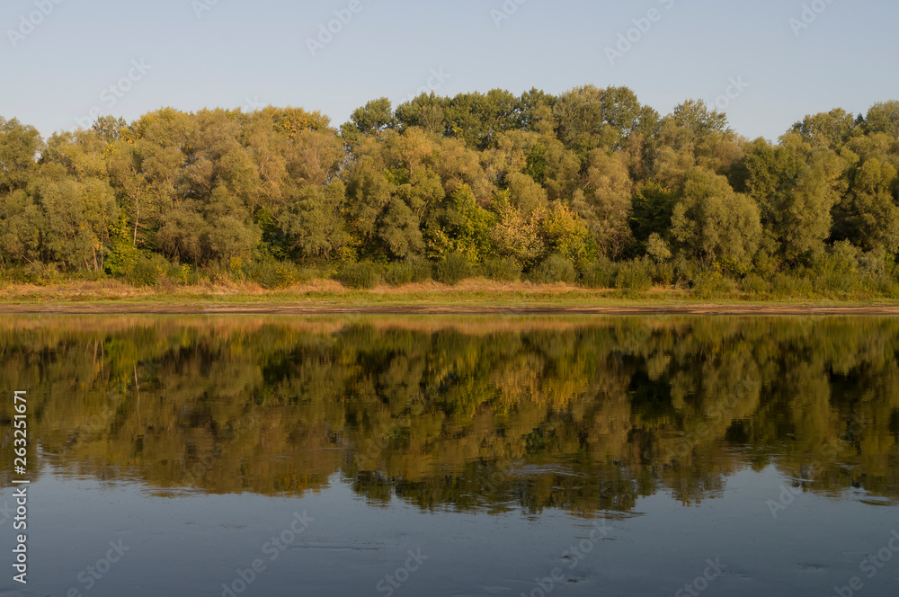 Wide river flowing across green forest. Fall. Reflections of sun in the water