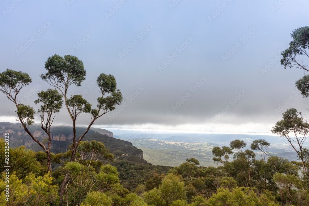 Scenic view at the Blue Mountains in NSW, Australia.