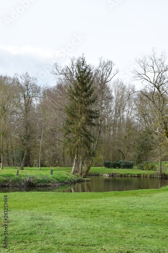 Magnifiques et majestueux arbres dans ce parc    Availles sur Seiche dans le d  partement de l Ile et Vilaine en Bretagne