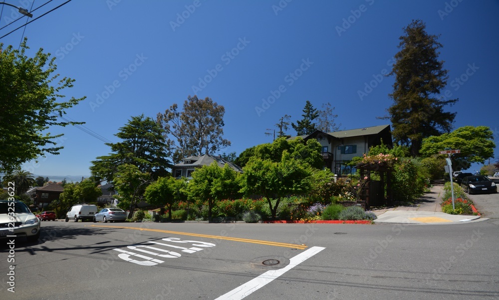 Obraz premium Spring Impressions from Berkeley near San Francisco and Oakland in Alameda County on May 3, 2017, California USA