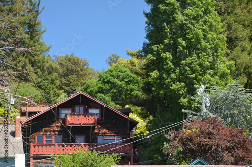 Spring Impressions from Berkeley near San Francisco and Oakland in Alameda County on May 3, 2017, California USA