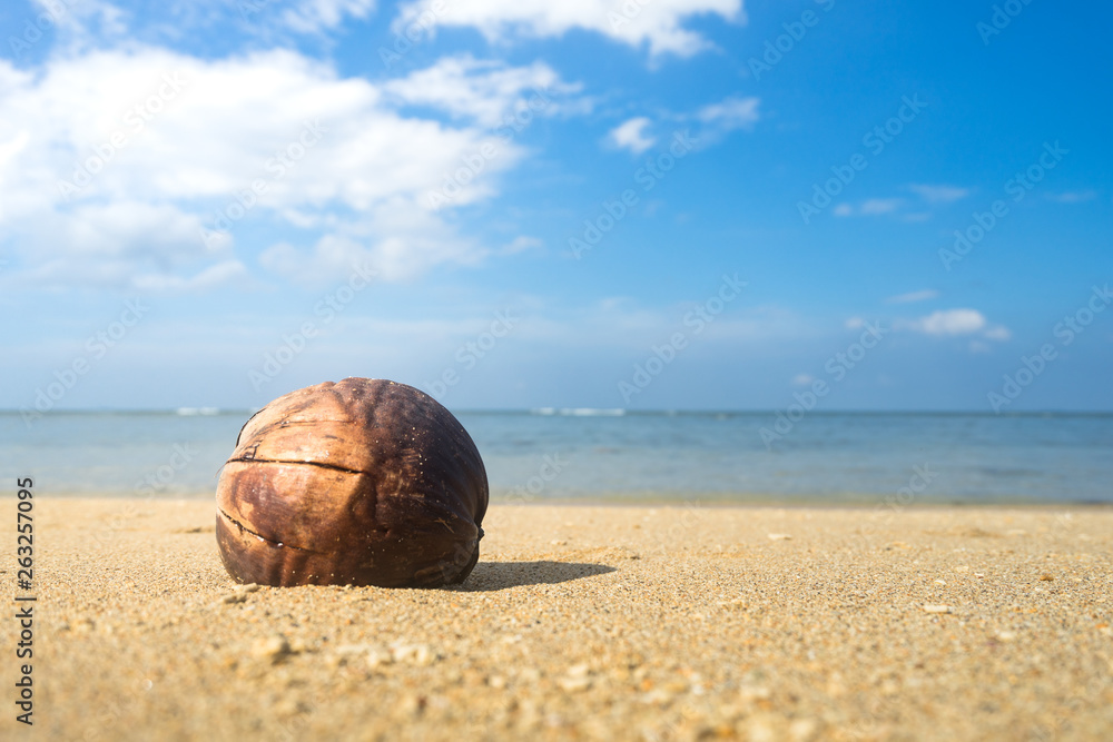 Die coconut on sand beach with blue cloudy sky background. Summer vacation concept photo. Die coconut on sand beach with blue cloudy sky background. Summer vacation concept photo.