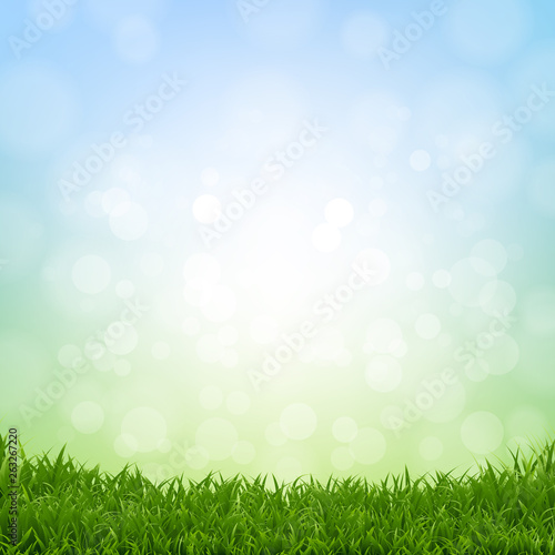 Spring Grass Border