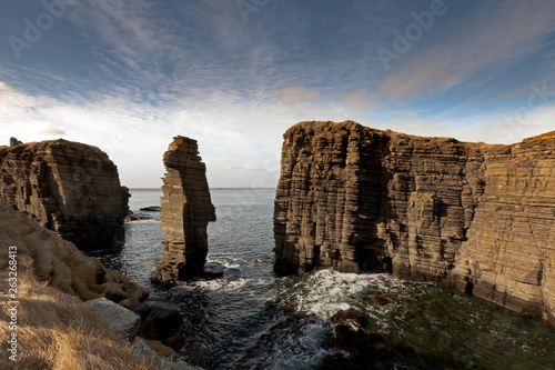 Stagged, textured, hard and very old