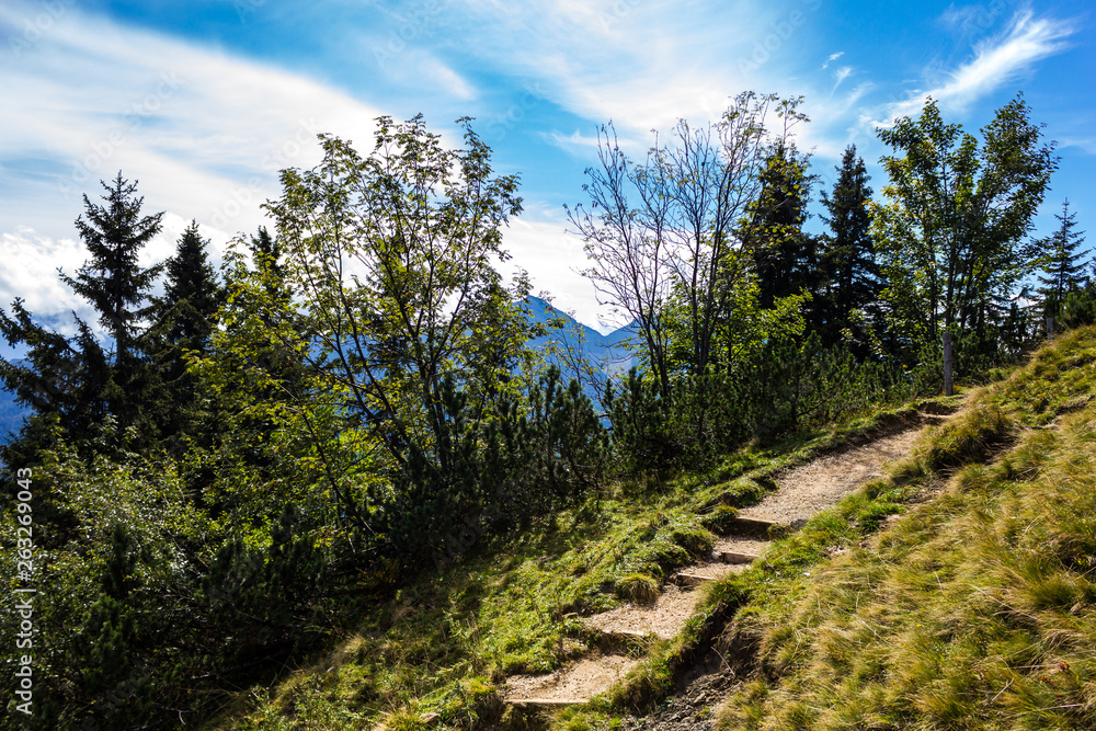 Wanderweg am Gipfel des Rauschbergs Wanderweg am Gipfel des Rauschbergs