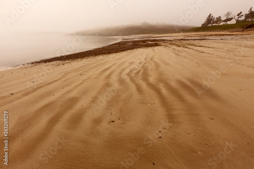 A misty  sandy and desolate beach