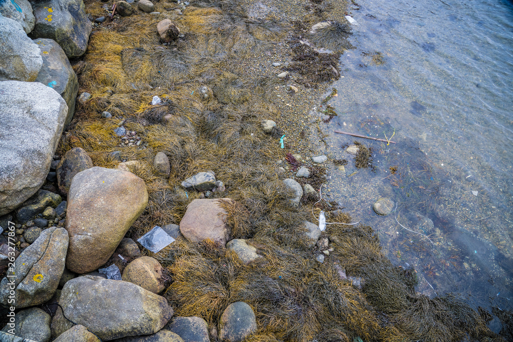 Obraz premium Marine pollution ocean plastic from Atlantic Canada