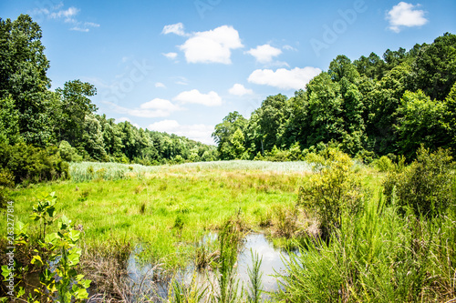  Blue Sky and Meadow