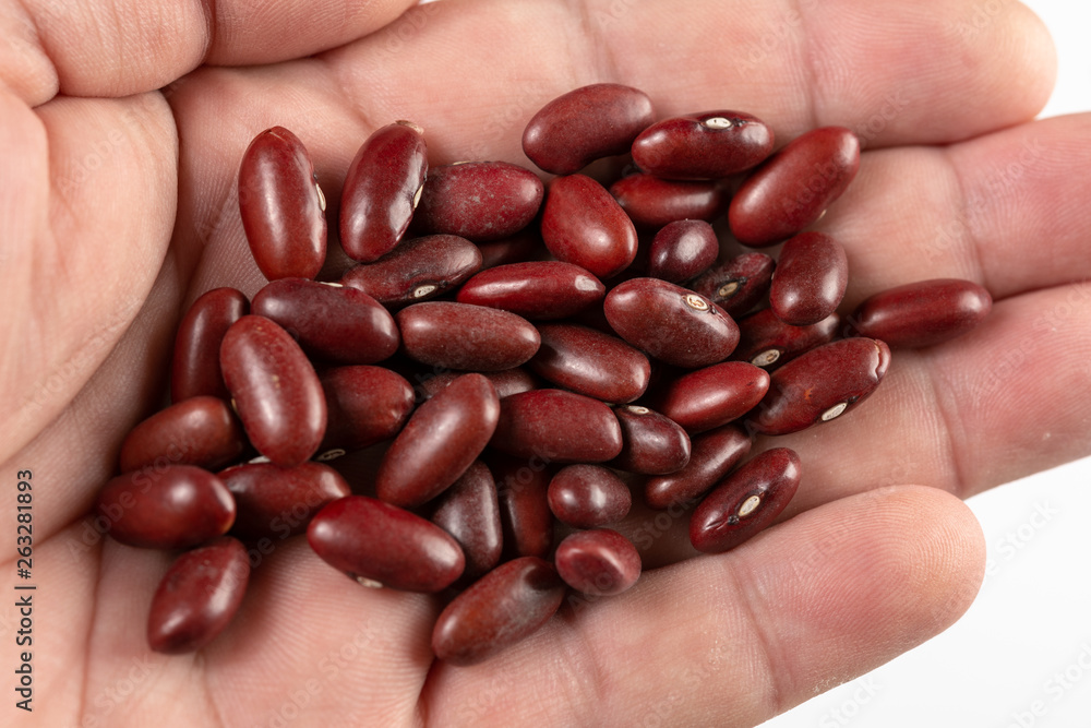 Raw Red Beans In The Hand Above White Background Raw Red Beans In The Hand Above White Background