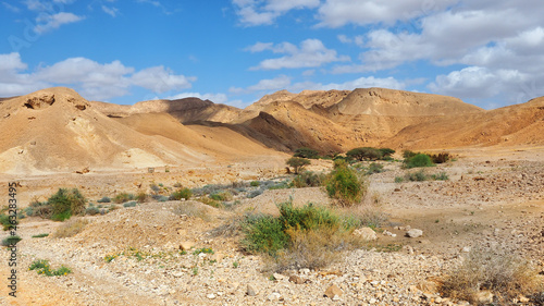 Bright blue sky in the Negev desert