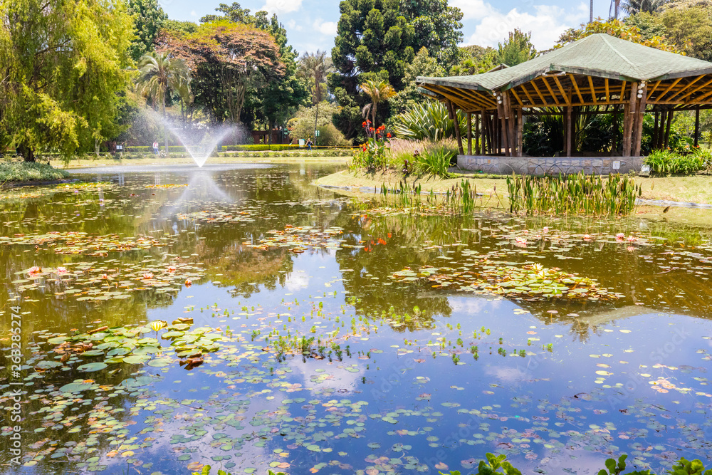 Bogota pond with fountain and tropical plants in botanical garden