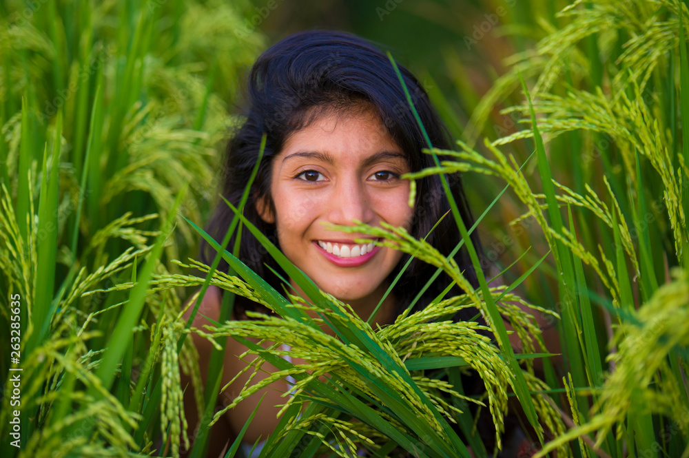 Naklejka premium young happy and beautiful latin woman smiling playful having fun posing sweet isolated on green rice field in Asia tourist trip and Summer holidays travel and tourism