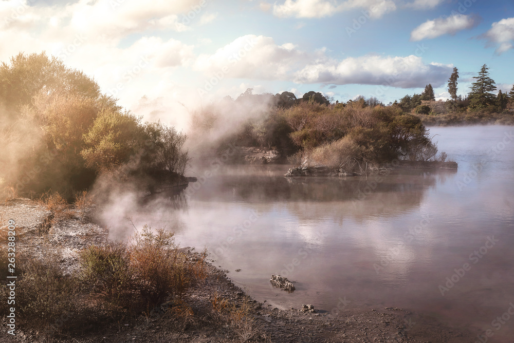 Geothermal mud pools in Rotorua, New Zealand