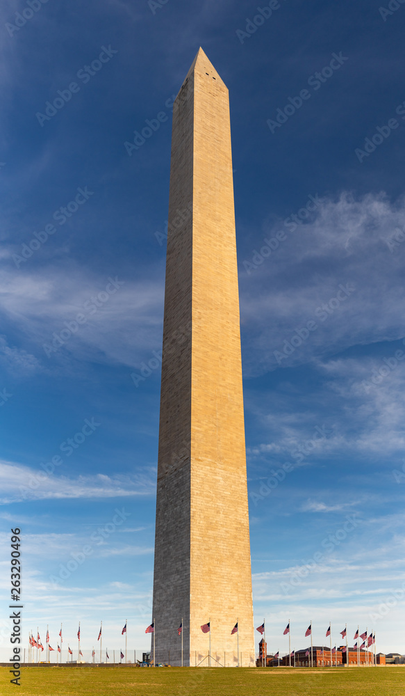 Washington Monument V