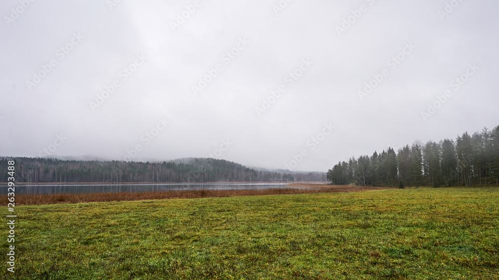 Misty Land