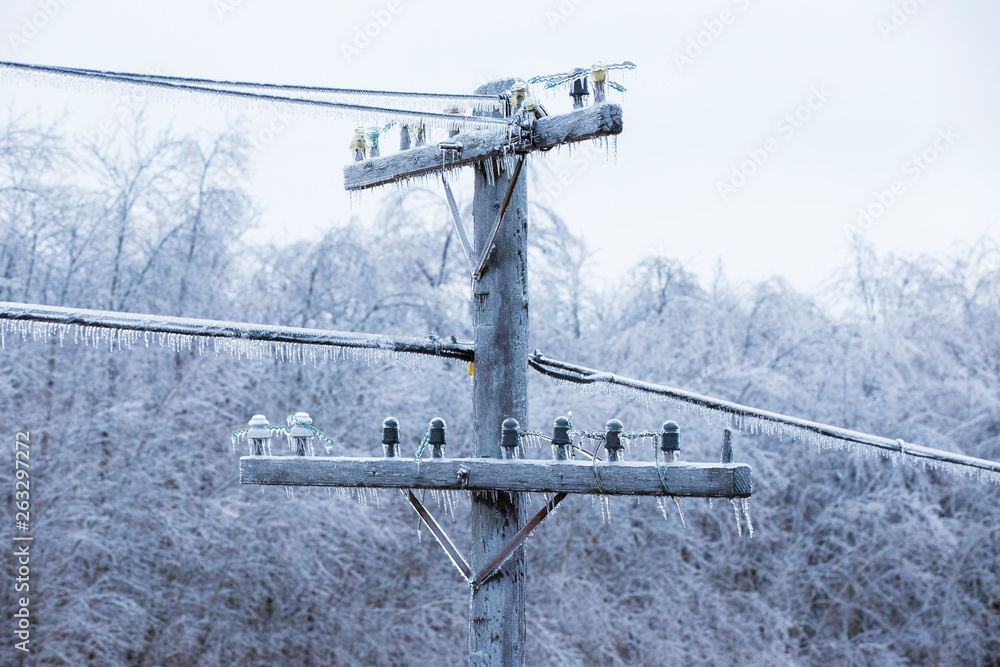 Obraz premium freezing rain on electric pole and wire, Montreal, 9 April, 2019