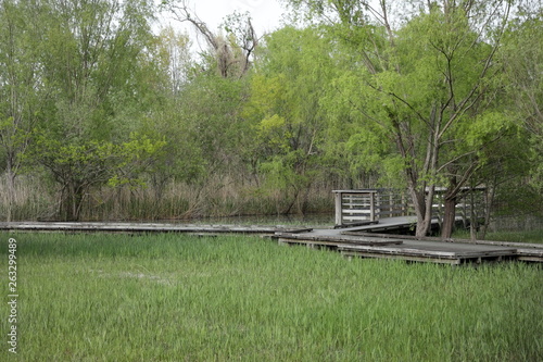 湿原の遊歩道