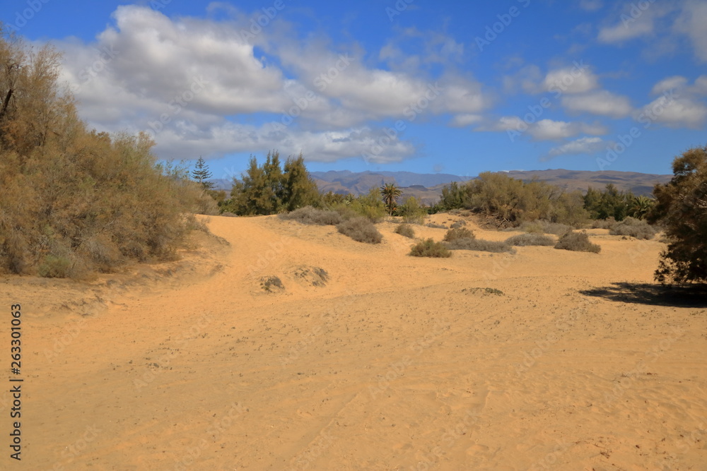 Aerial view of the Maspalomas dunes on Gran Canaria island. Aerial view of the Maspalomas dunes on Gran Canaria island.