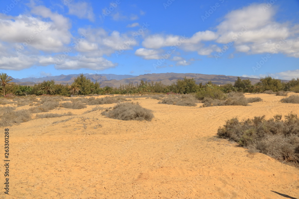 Aerial view of the Maspalomas dunes on Gran Canaria island.