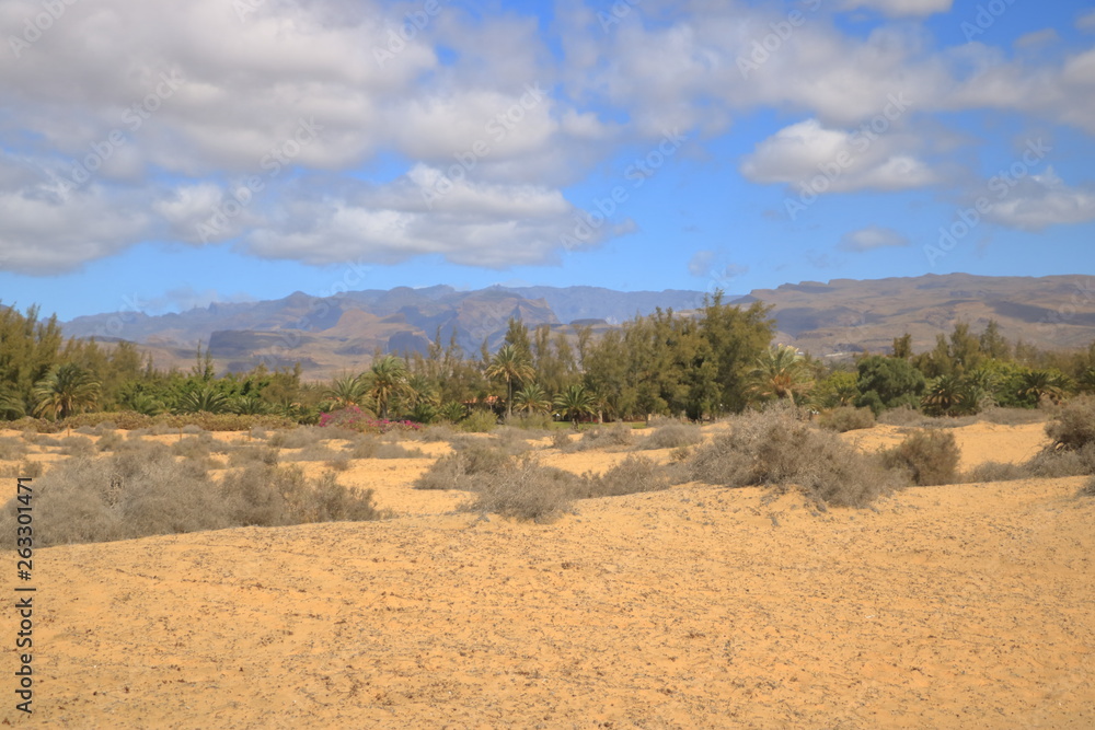 Aerial view of the Maspalomas dunes on Gran Canaria island. Aerial view of the Maspalomas dunes on Gran Canaria island.