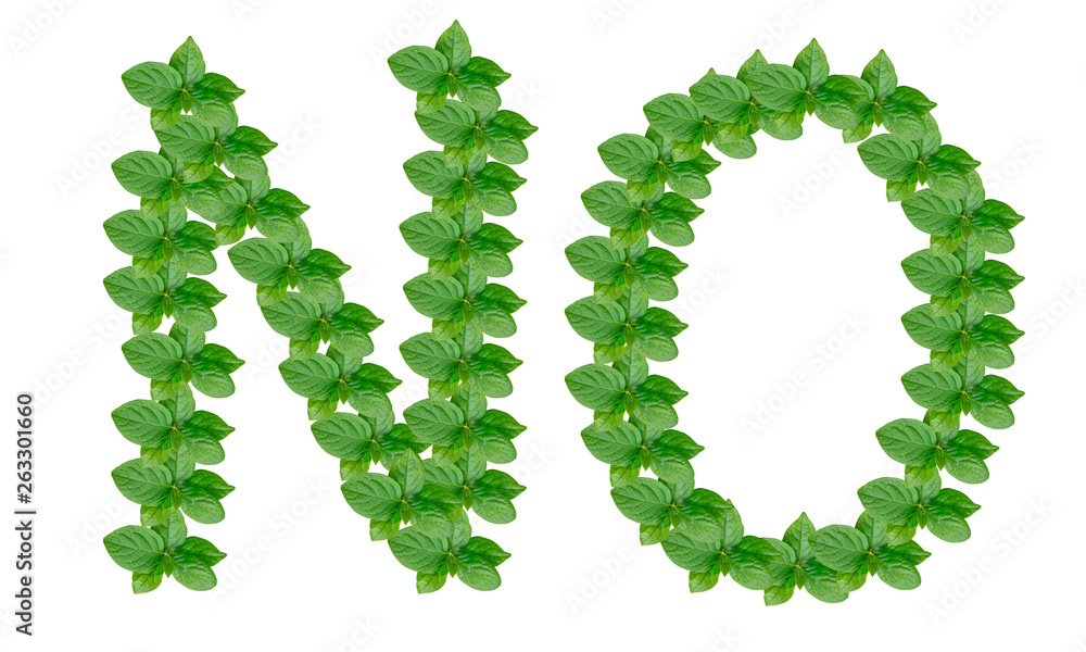 Word no made of persimmon leaves on white background, isolate