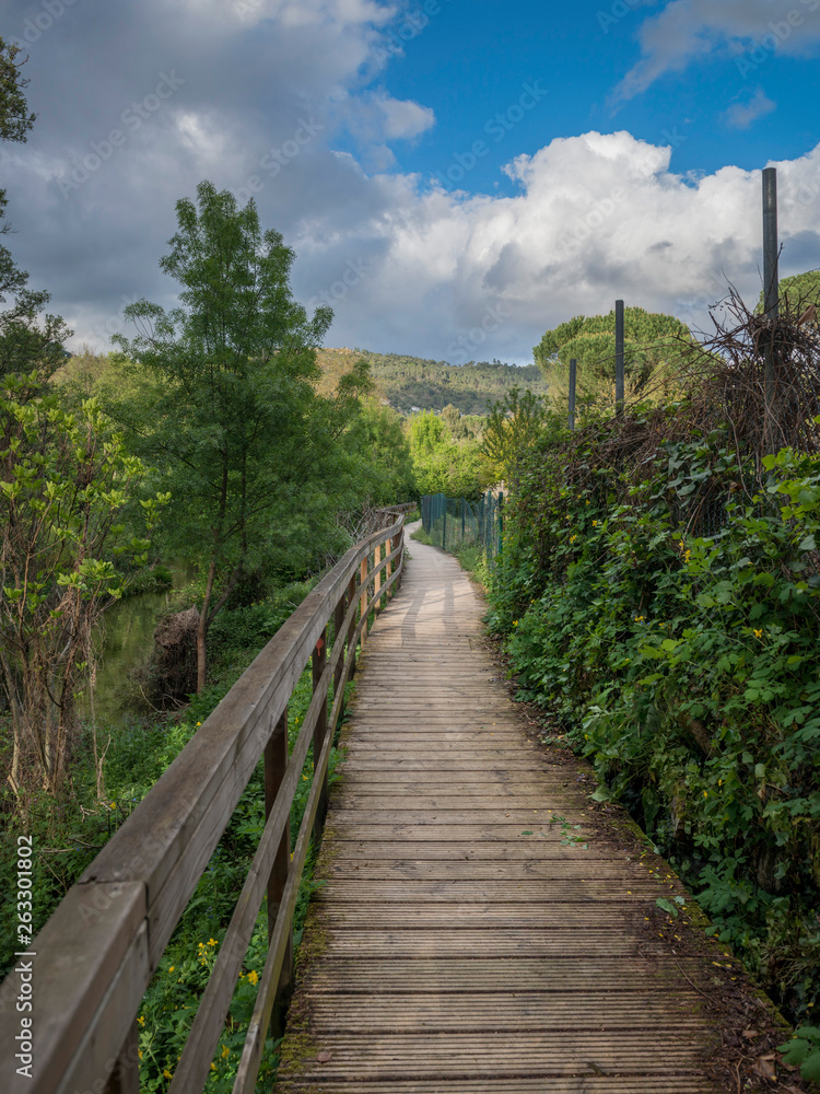 walking through nature on a wooden path