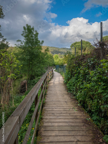 walking through nature on a wooden path