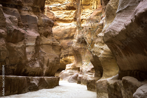 Siq Canyon Petra photo