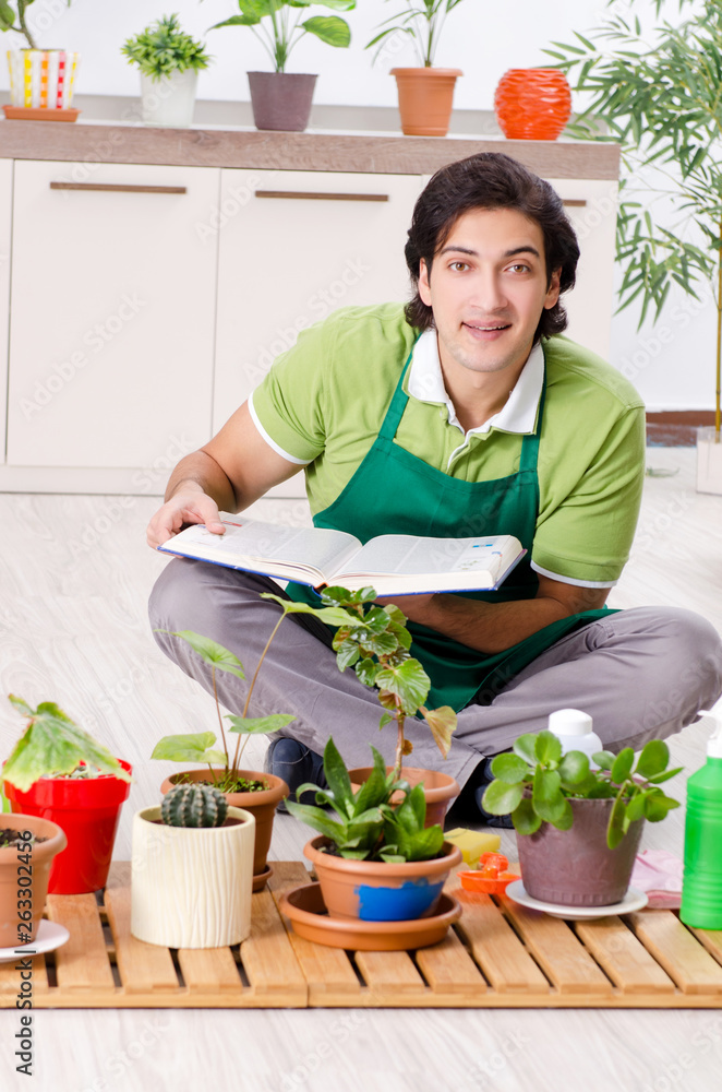 Young male gardener with plants indoors Young male gardener with plants indoors