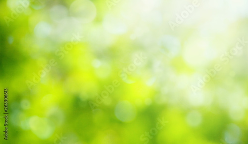 Spring or summer abstract background