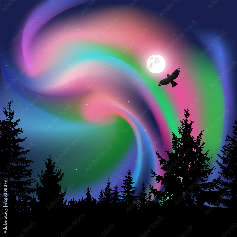 Silhouette of coniferous trees on the background of colorful sky. Flying eagle. Northern lights. Silhouette of coniferous trees on the background of colorful sky. Flying eagle. Northern lights.