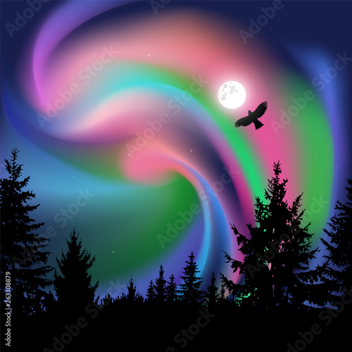 Silhouette of coniferous trees on the background of colorful sky.  Flying eagle. Northern lights.