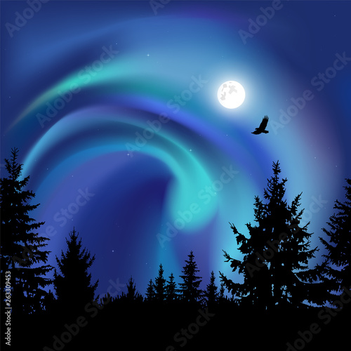 Silhouette of coniferous trees on the background of colorful sky.  Flying eagle. Night. Moonlight.  Blue northern lights.