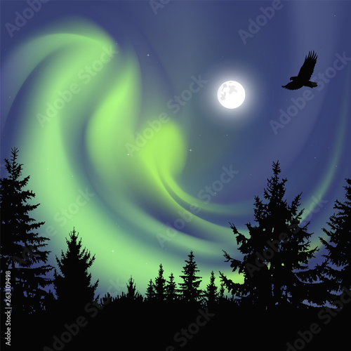 Silhouette of coniferous trees on the background of colorful sky.  Flying eagle. Night. Moonlight.  Green northern lights