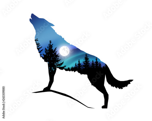Silhouette of howling wolf with coniferous trees on the background of colorful sky. Moonlight.