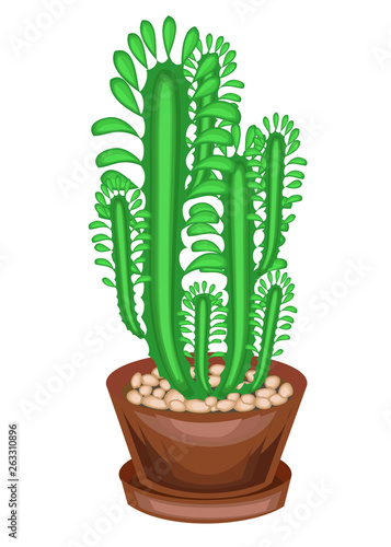 Potted plant in a pot. A few greens of branches of a succulent, a cactus. High vertical stems with facets and spines. Lovely hobby for collectors of cacti. Vector illustration