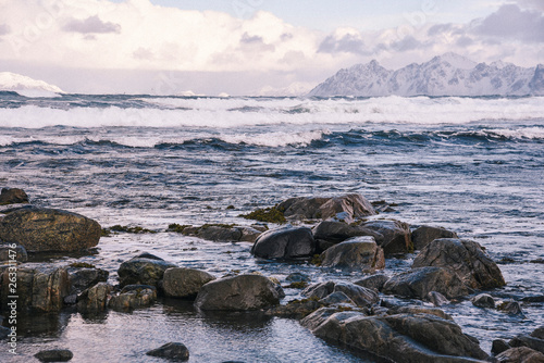 Coast of Lofoten Archipelago in the Arctic Circle in Norway © Alisha
