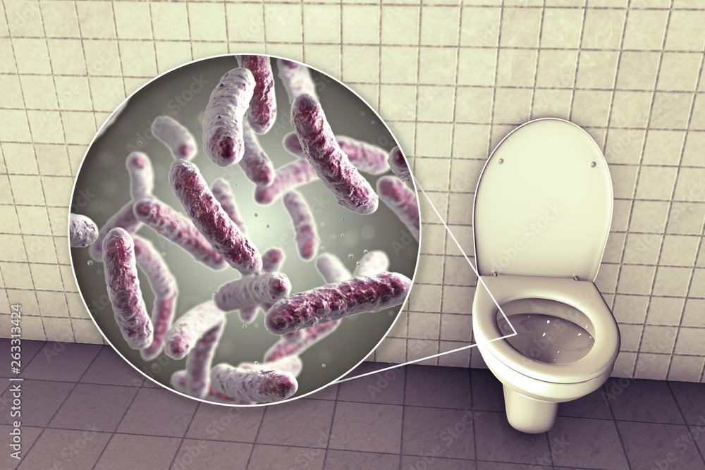 Toilet microbes, conceptual 3D illustration. Transmission of diarrheal