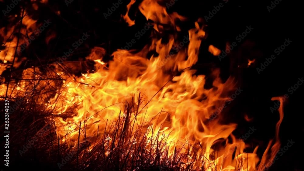 Slow-motion video of grass burning in the middle of the night. 120 fps. Slow-motion video of grass burning in the middle of the night. 120 fps.