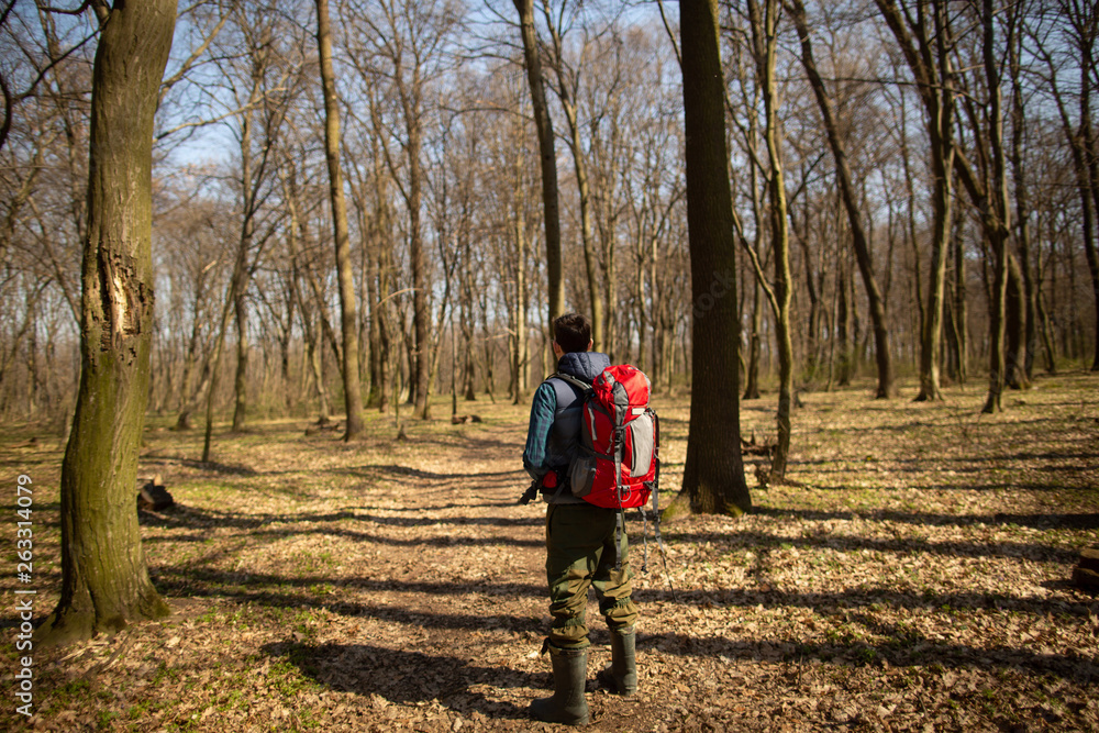 Young man with backpack hiking in the forest. Nature and physical exercise concept Young man with backpack hiking in the forest. Nature and physical exercise concept