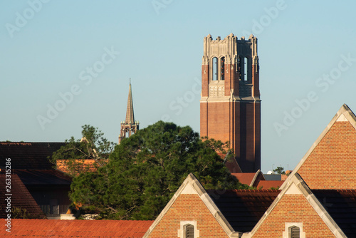 A distant view of The University of Florida in the morning photo