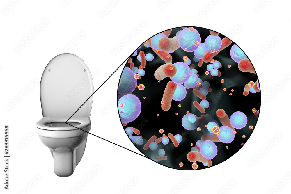 Toilet microbes, conceptual 3D illustration. Transmission of diarrheal