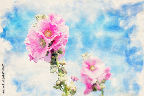 hollyhock and blue sky in watercolors © wernerimages