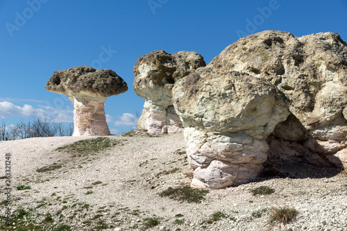 Rock formation The Stone Mushrooms near Beli plast village, Kardzhali Region, Bulgaria